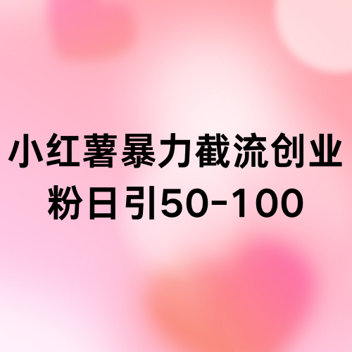 小红薯暴力截流创业粉日引50-100-远创社-实操项目-引流教程-网赚教程-副业教程