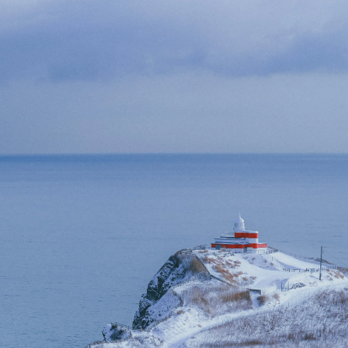 宁做创业狼，不做打工狗-繁星科技社-实操项目-引流教程-网赚教程-副业教程