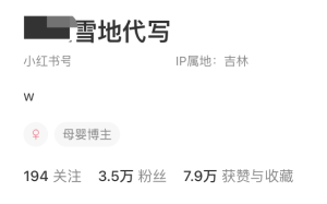 图片[3]-雪地代写2.0版本来了，快速涨粉搞钱-远创社-实操项目-引流教程-网赚教程-副业教程